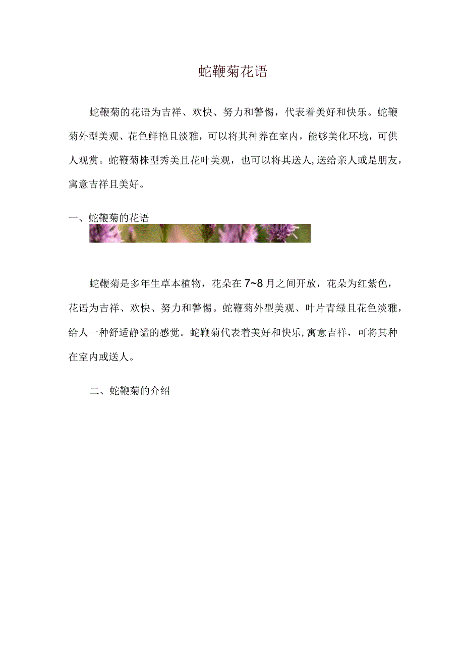 蛇鞭菊花语.docx_第1页