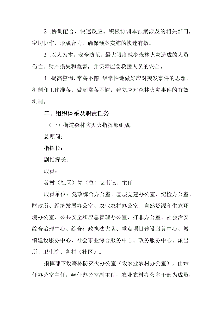 街道森林防灭火应急预案.docx_第2页