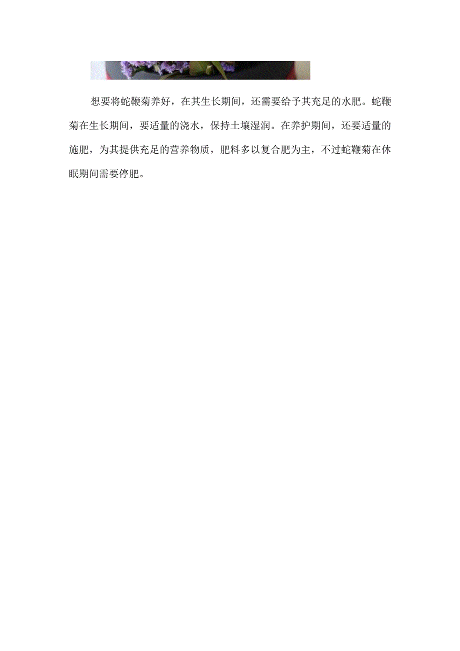 蛇鞭菊怎么养护.docx_第3页