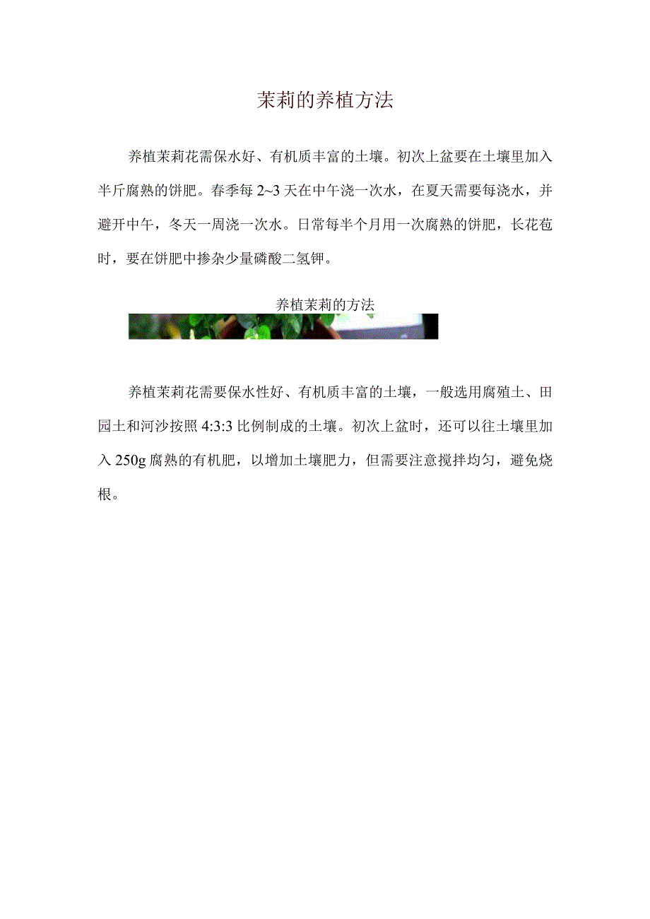 苿莉的养植方法.docx_第1页