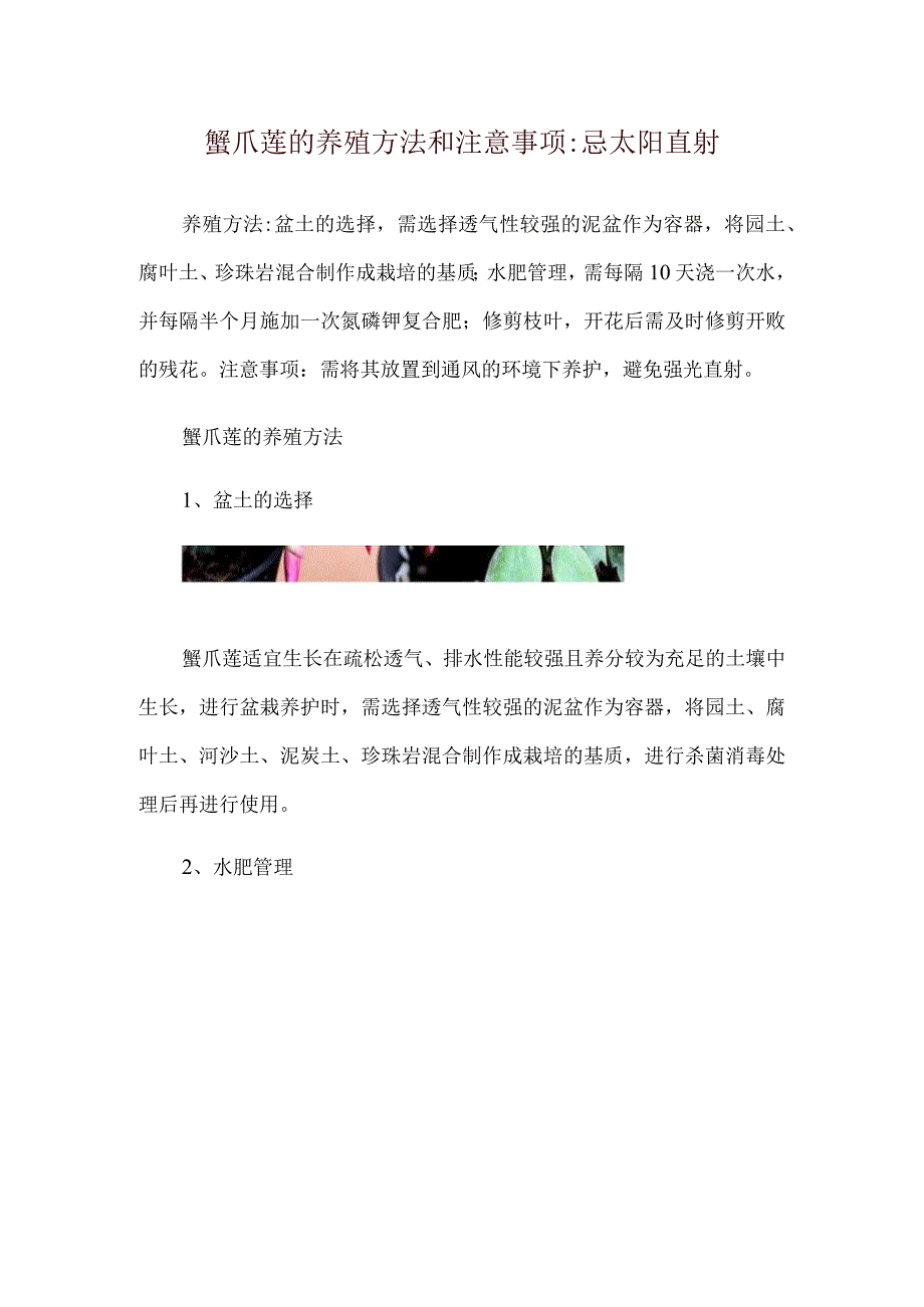 蟹爪莲的养殖方法和注意事项忌太阳直射.docx_第1页