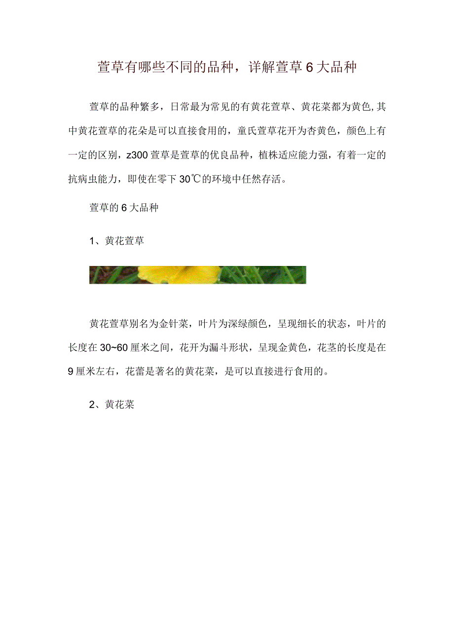 萱草有哪些不同的品种详解萱草6大品种.docx_第1页