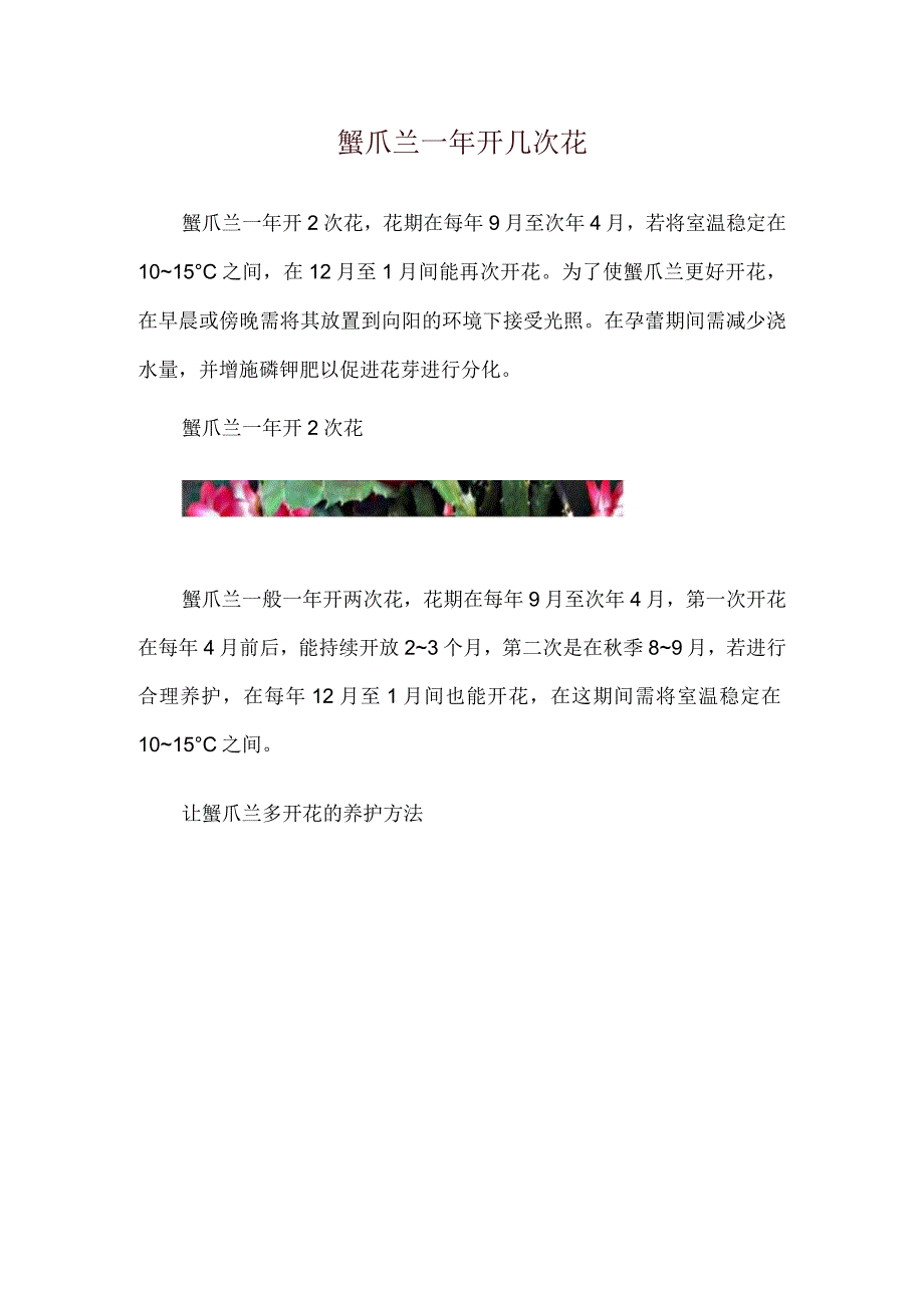 蟹爪兰一年开几次花.docx_第1页