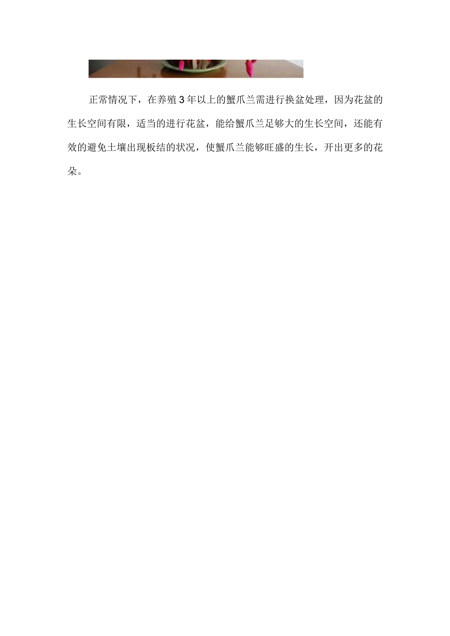 蟹爪兰一年开几次花.docx_第3页