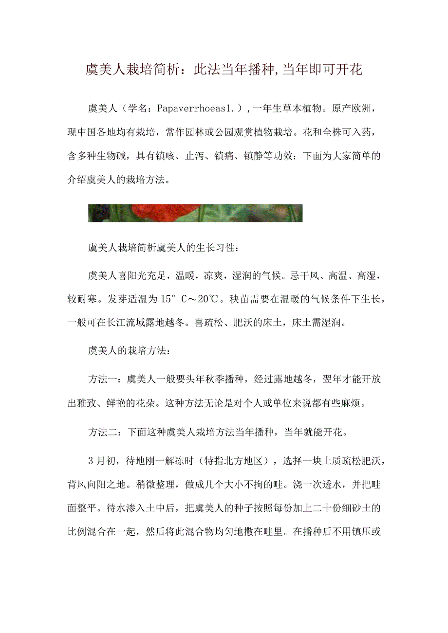 虞美人栽培简析：此法当年播种,当年即可开花.docx_第1页