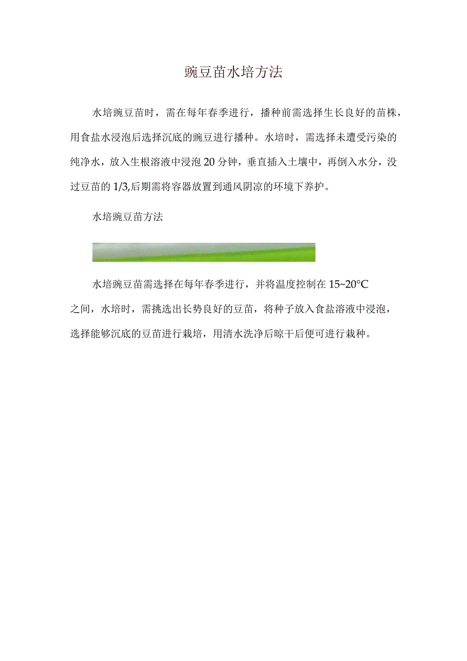 豌豆苗水培方法.docx_第1页