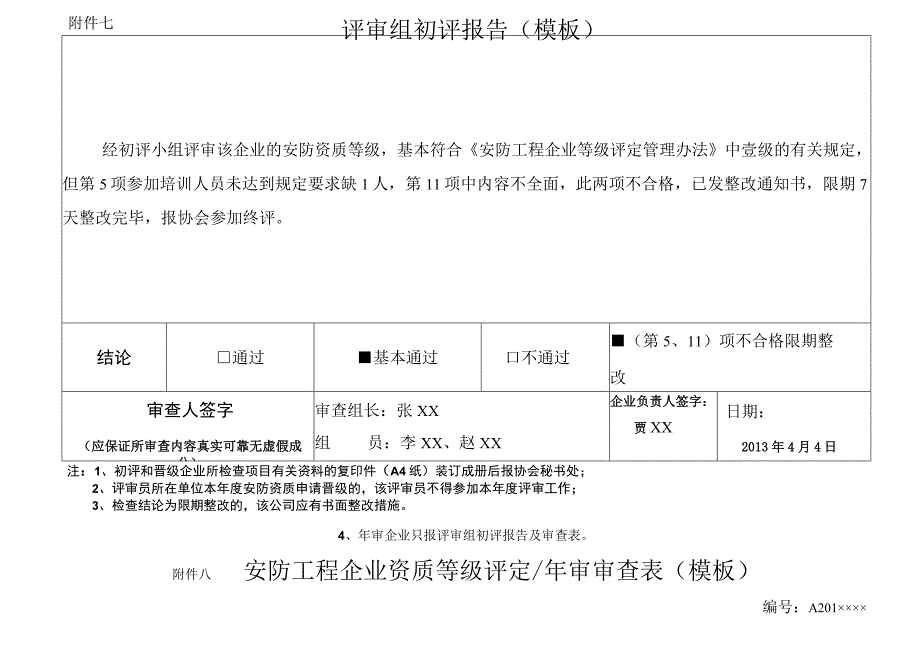 评审组初评报告模板.docx_第1页