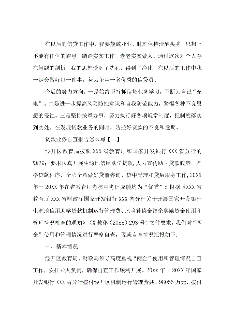 贷款业务自查报告.docx_第3页