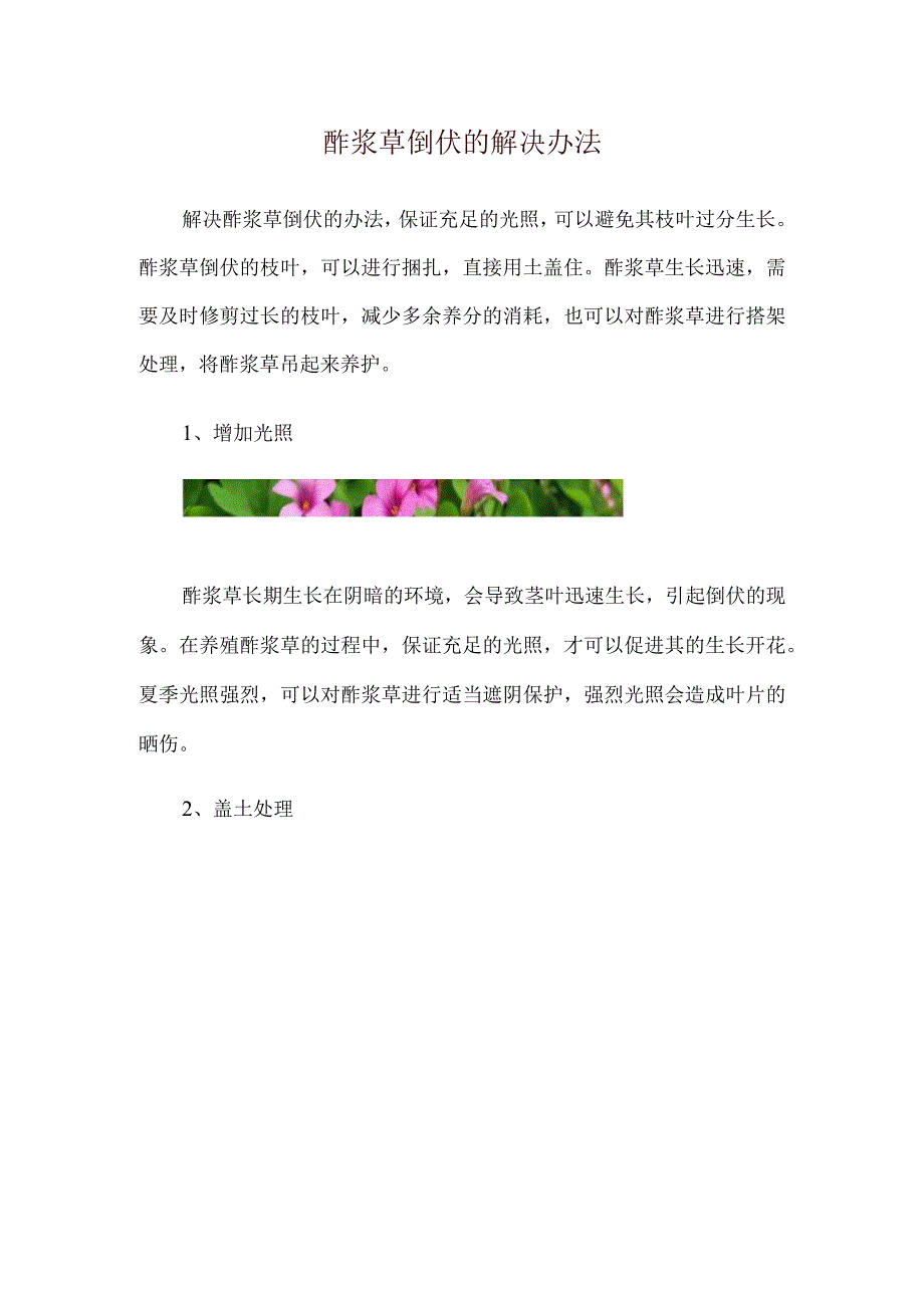 酢浆草倒伏的解决办法.docx_第1页