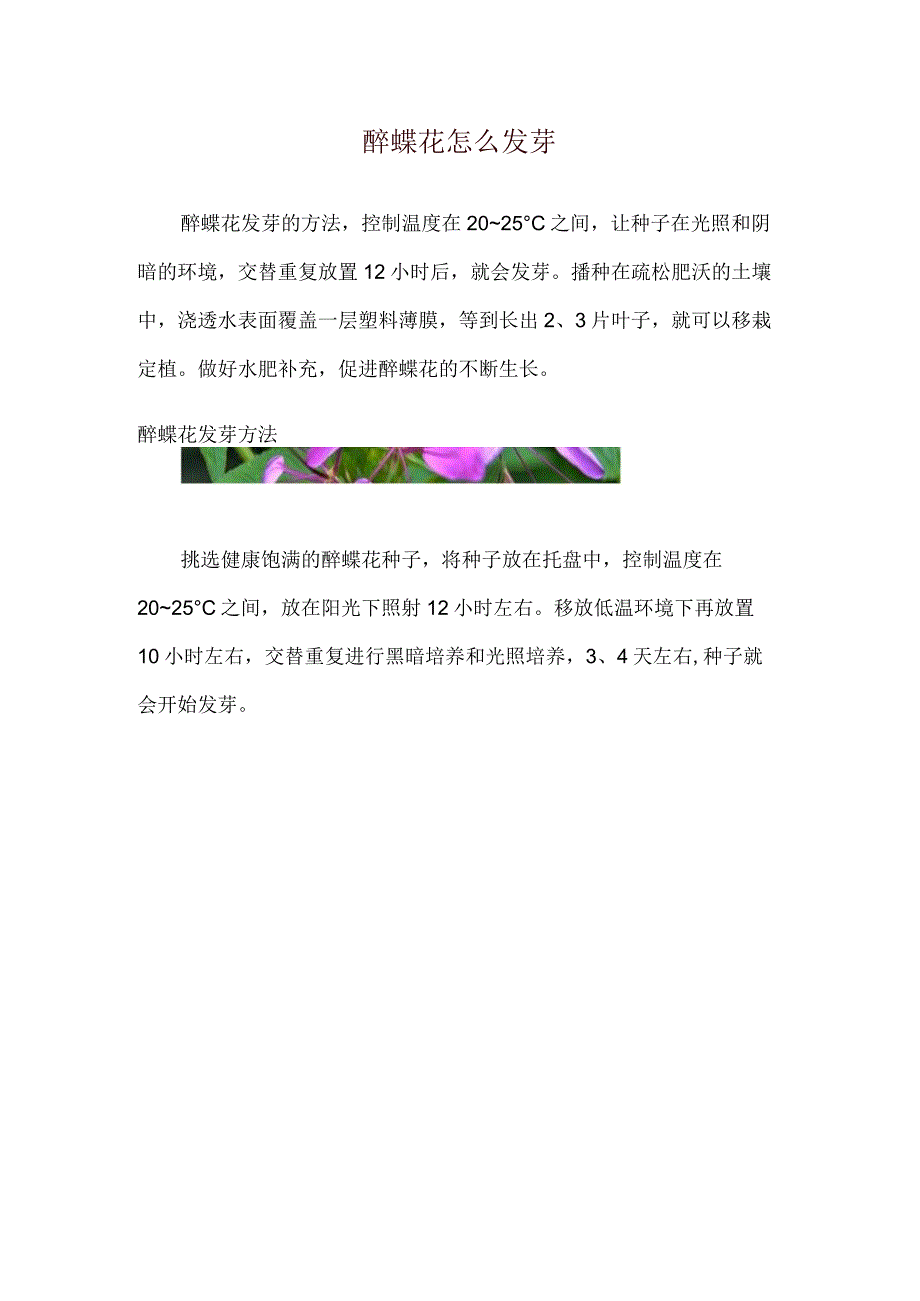 醉蝶花怎么发芽.docx_第1页