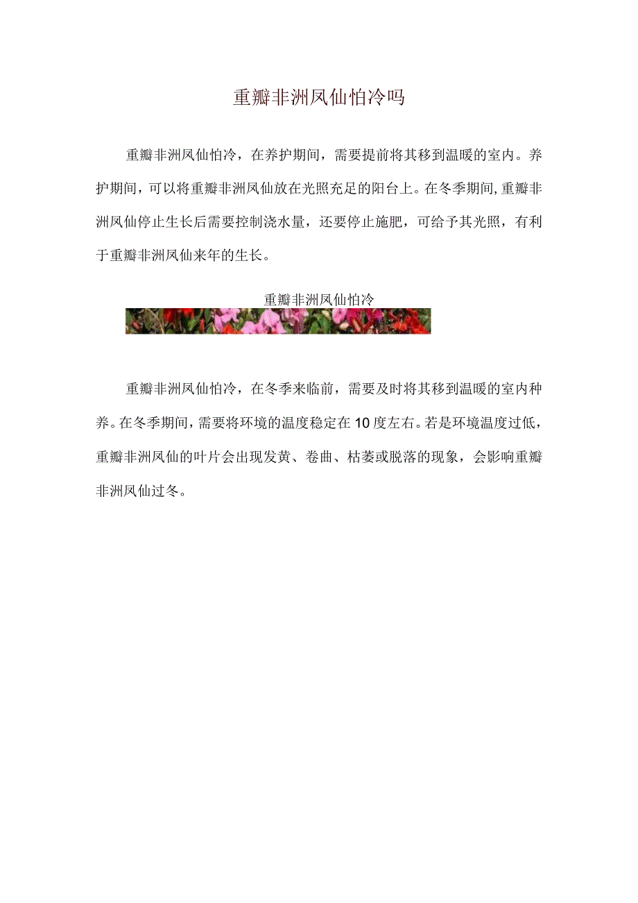 重瓣非洲凤仙怕冷吗.docx_第1页