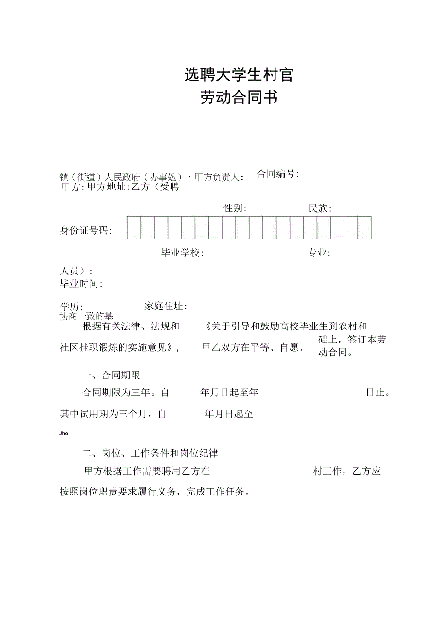 选聘大学生村官劳动合同书.docx_第1页