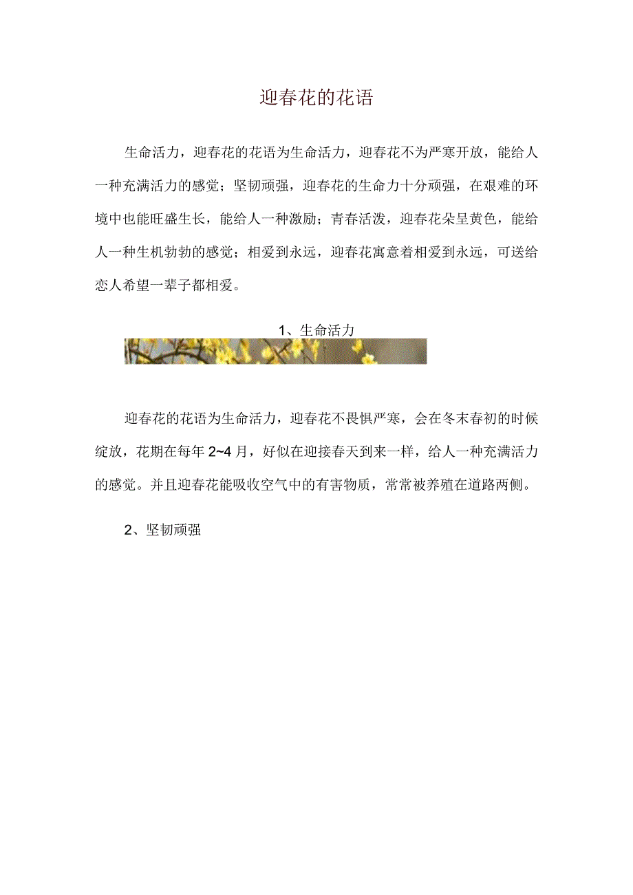 迎春花的花语.docx_第1页