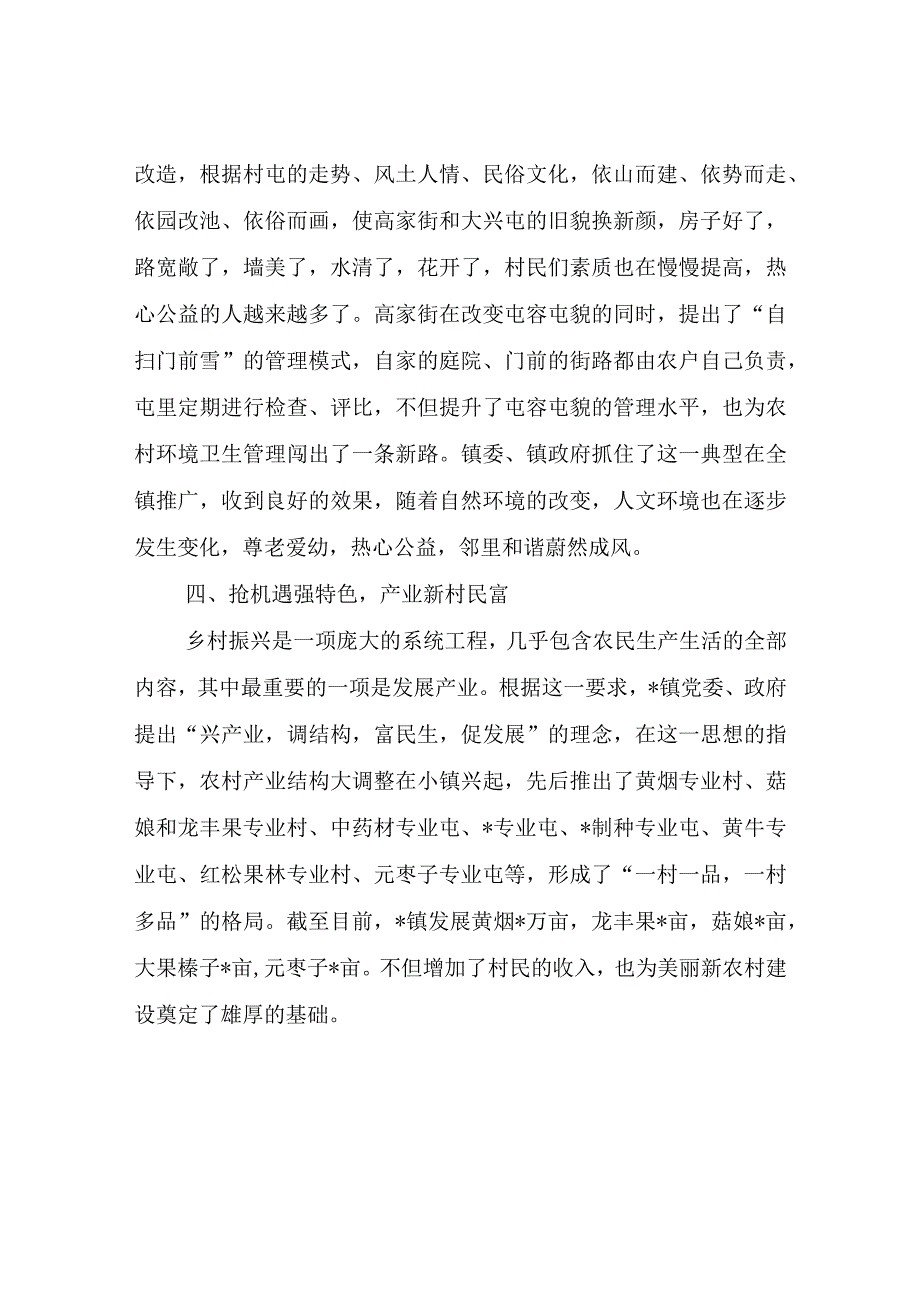 镇乡村振兴工作总结.docx_第3页