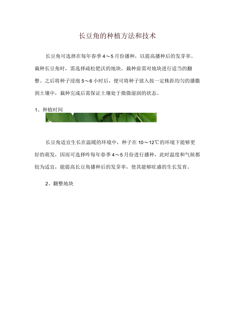 长豆角的种植方法和技术.docx_第1页