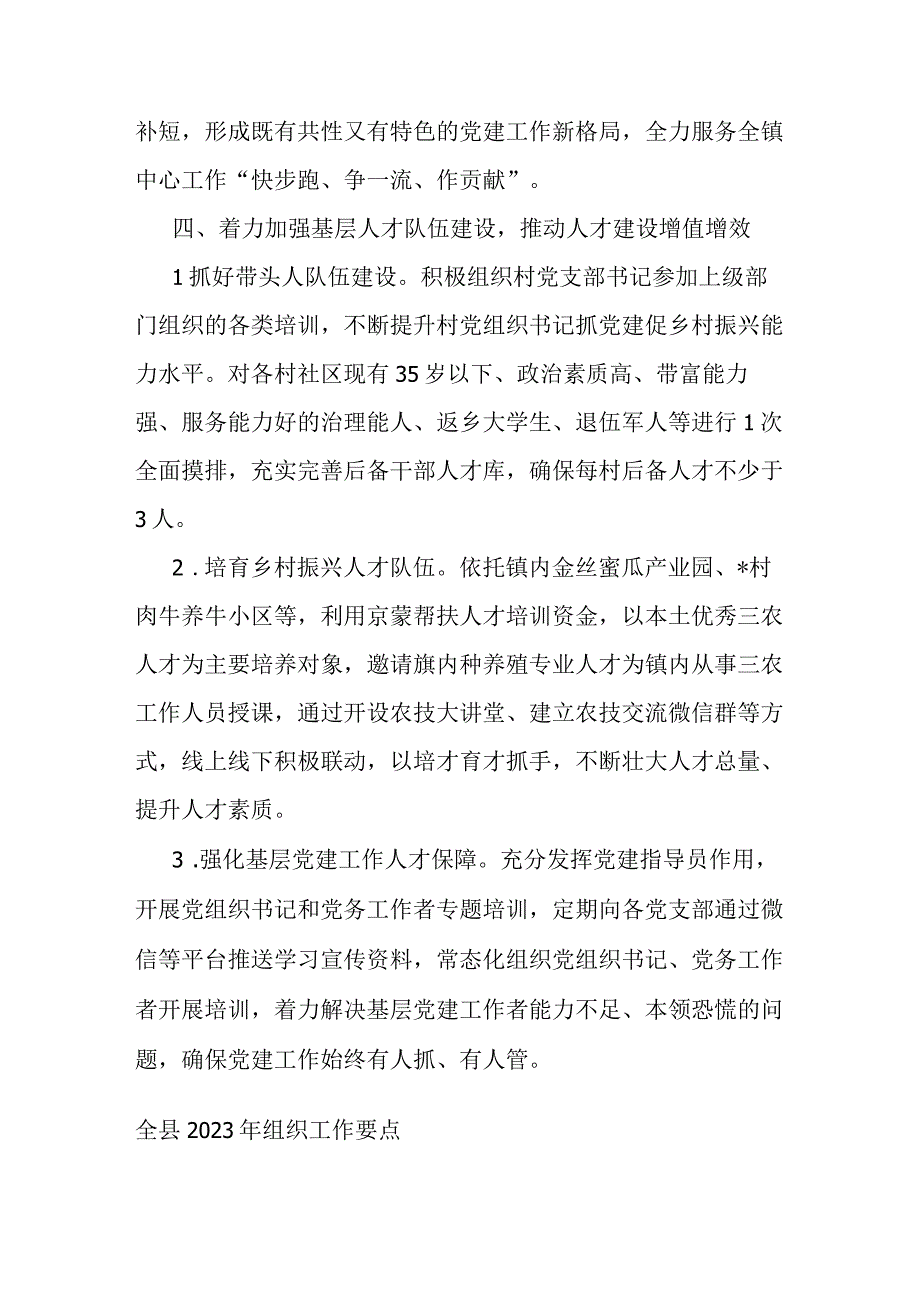 镇2023年组织工作要点.docx_第3页