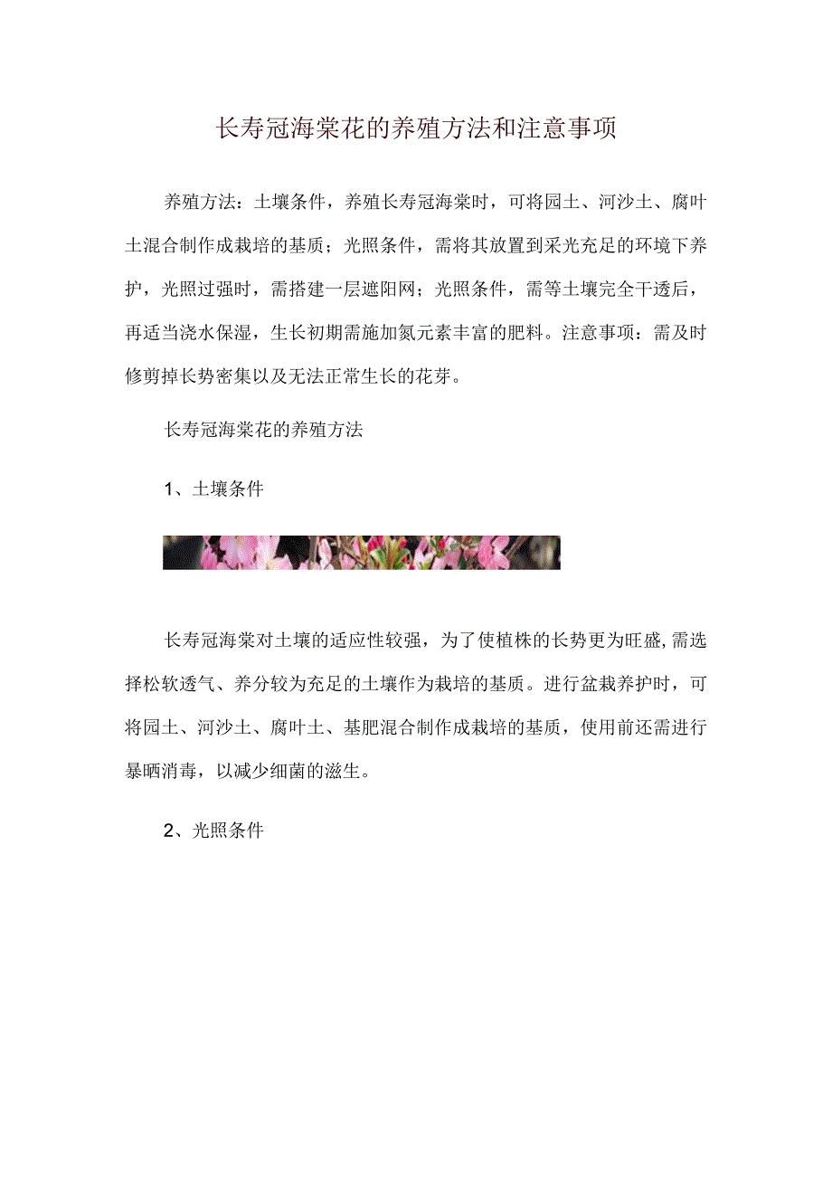 长寿冠海棠花的养殖方法和注意事项.docx_第1页