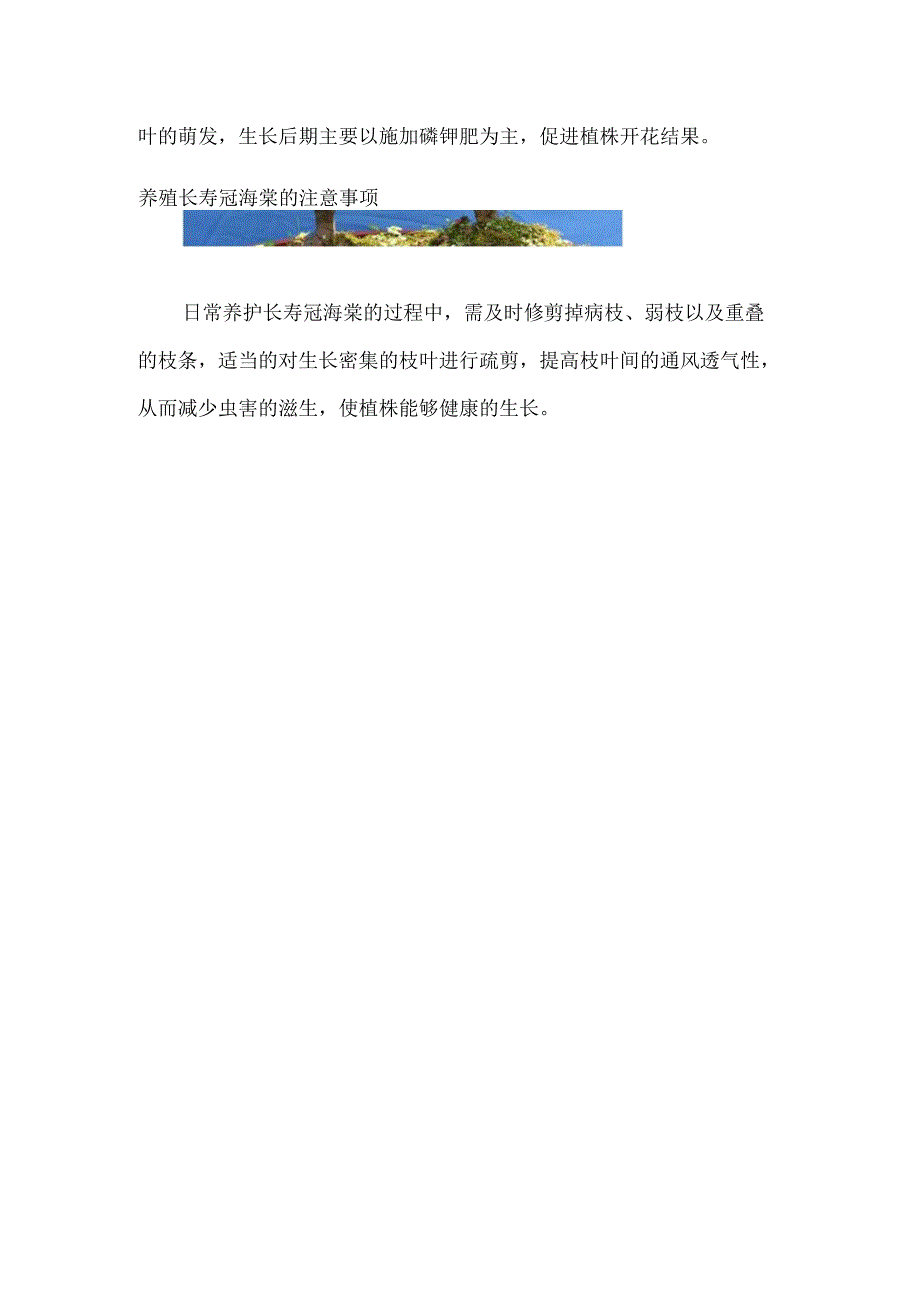 长寿冠海棠花的养殖方法和注意事项.docx_第3页