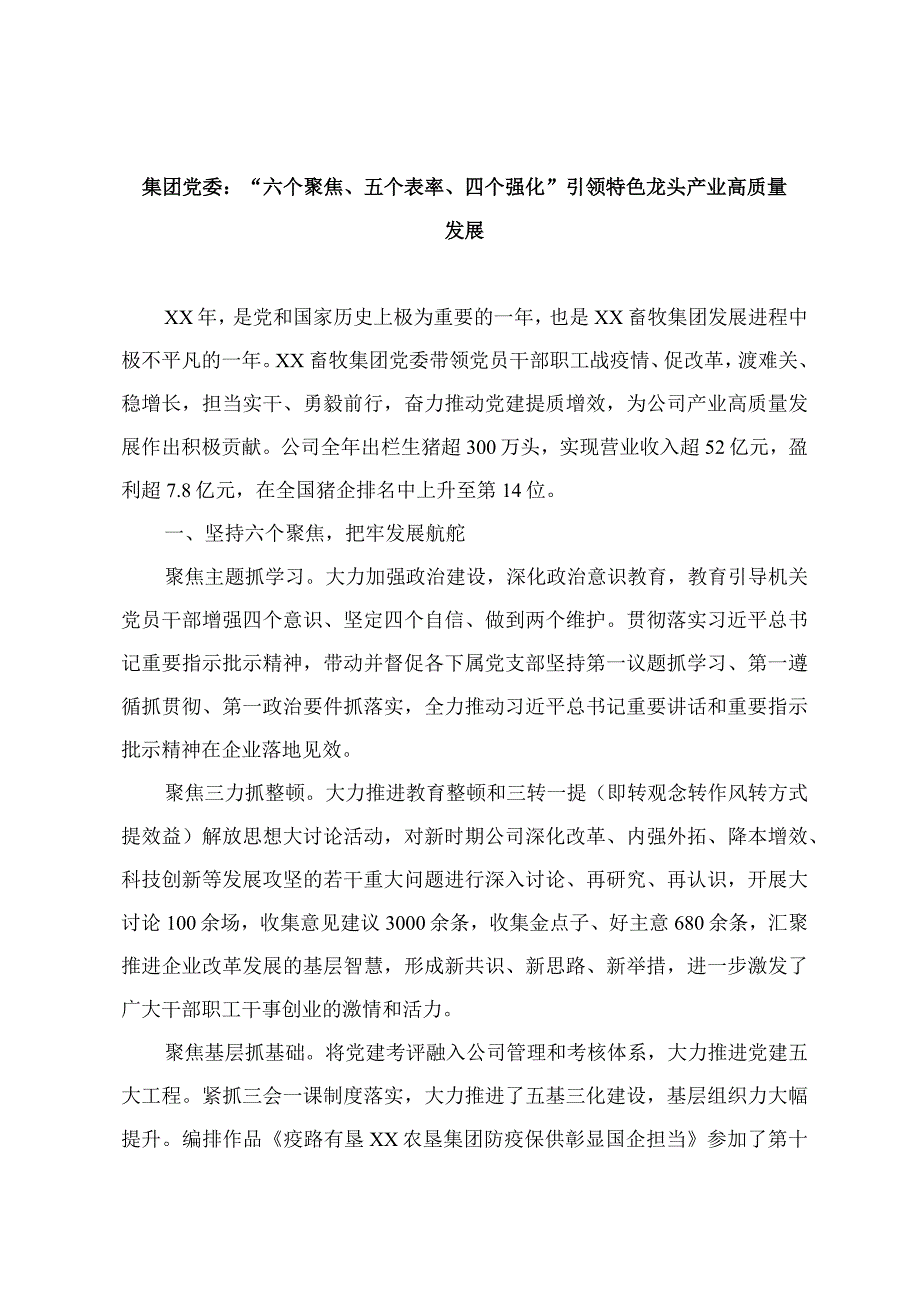 集团党委：六个聚焦五个表率四个强化引领特色龙头产业高质量发展.docx_第1页