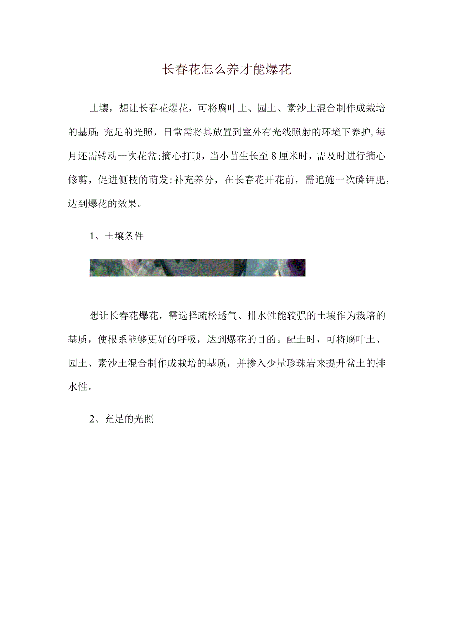 长春花怎么养才能爆花.docx_第1页