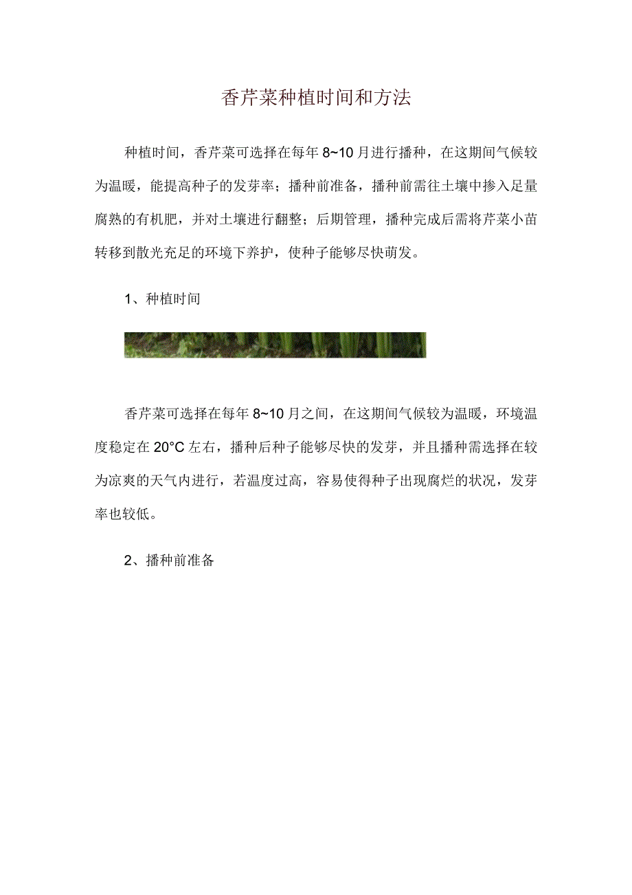 香芹菜种植时间和方法.docx_第1页