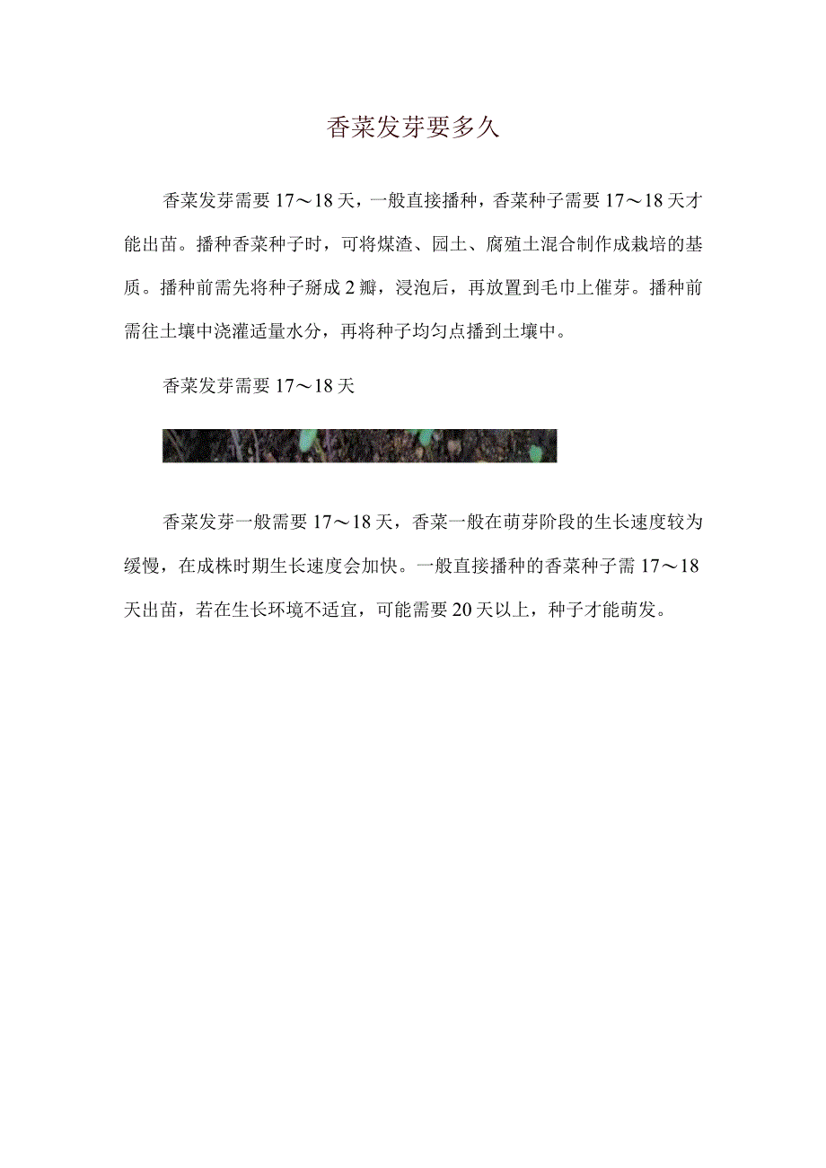 香菜发芽要多久.docx_第1页