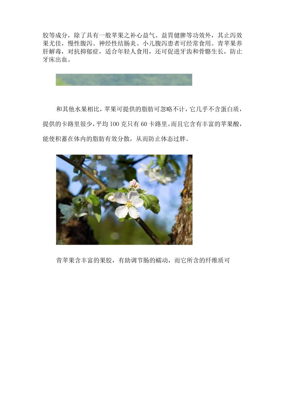 青苹果图片附介绍：相册的图片免费下载.docx_第2页