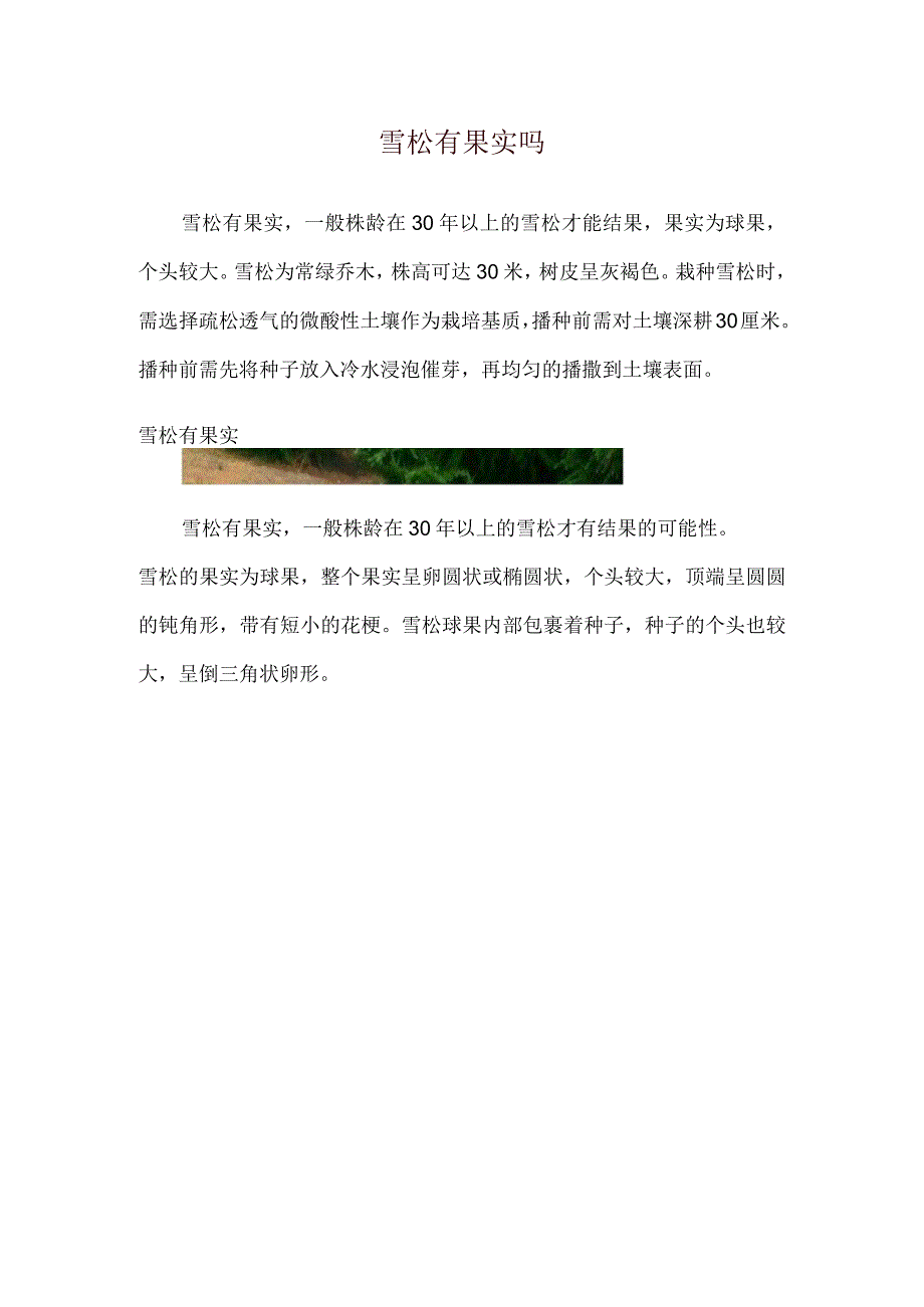 雪松有果实吗.docx_第1页