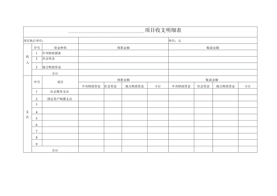 项目收支明细表.docx_第1页