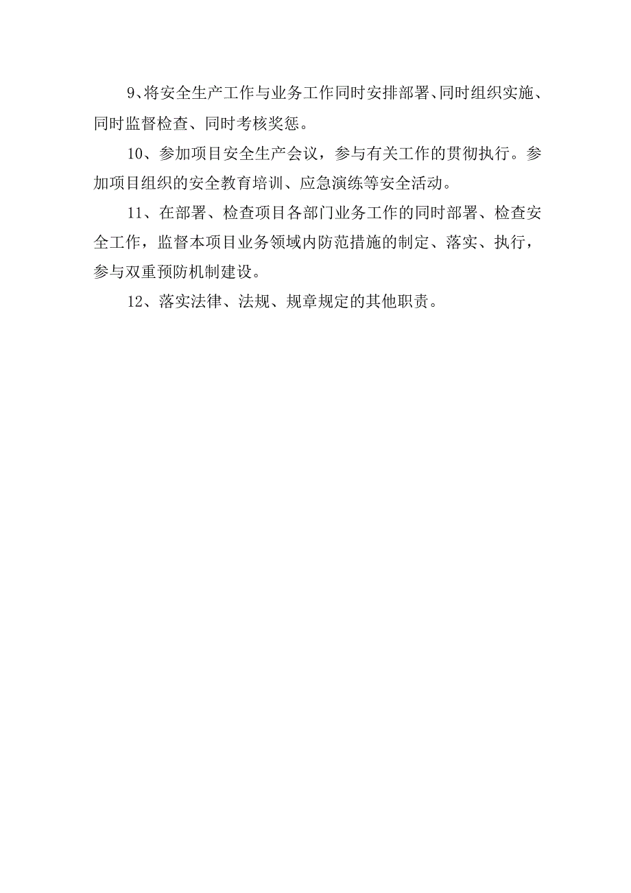 项目副总工安全生产责任制度.docx_第2页