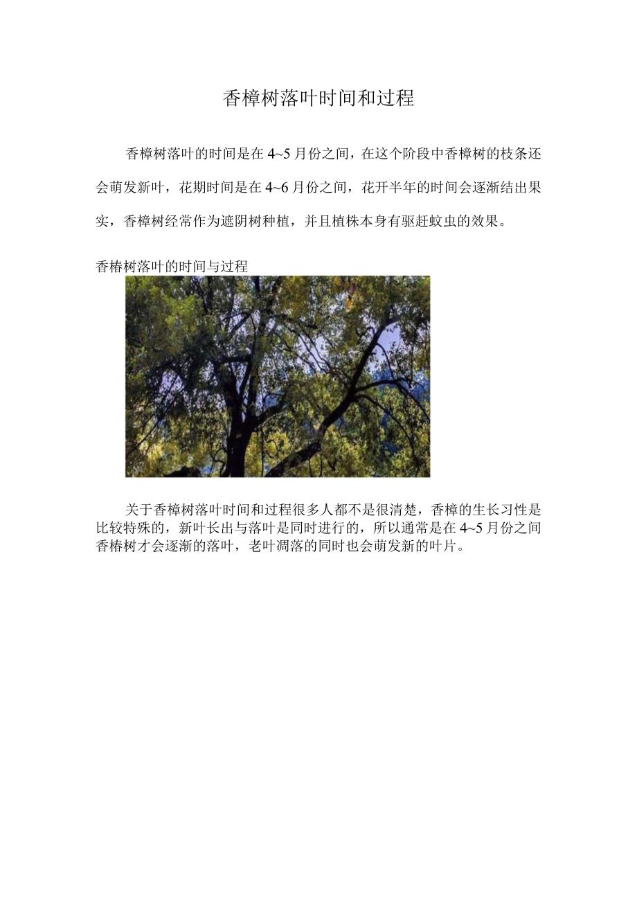 香樟树落叶时间和过程.docx_第1页