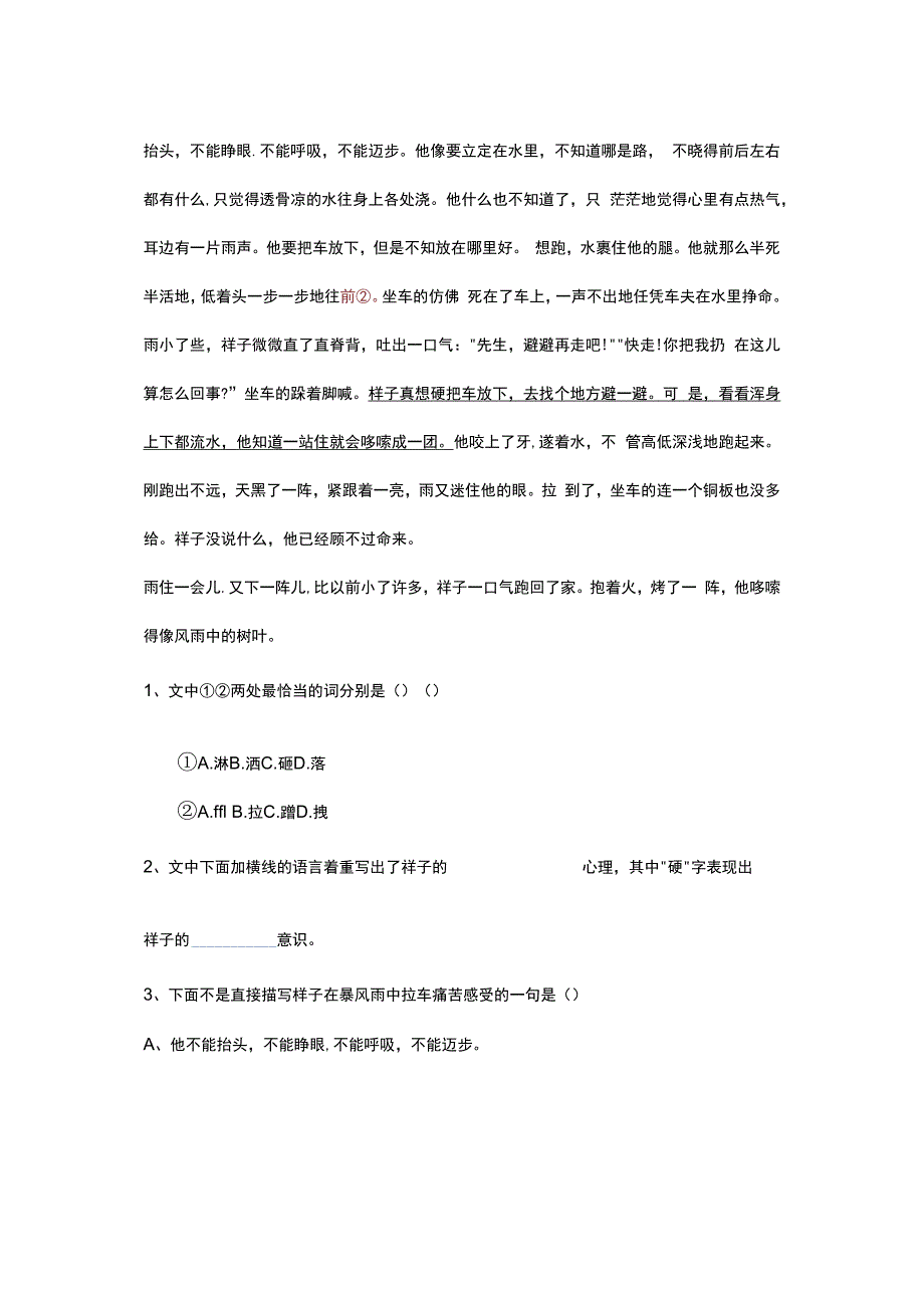 骆驼祥子导读市一等奖.docx_第2页