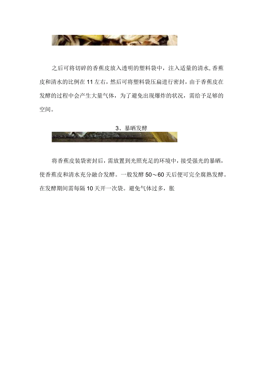 香蕉皮怎么做肥料养花肥料.docx_第2页