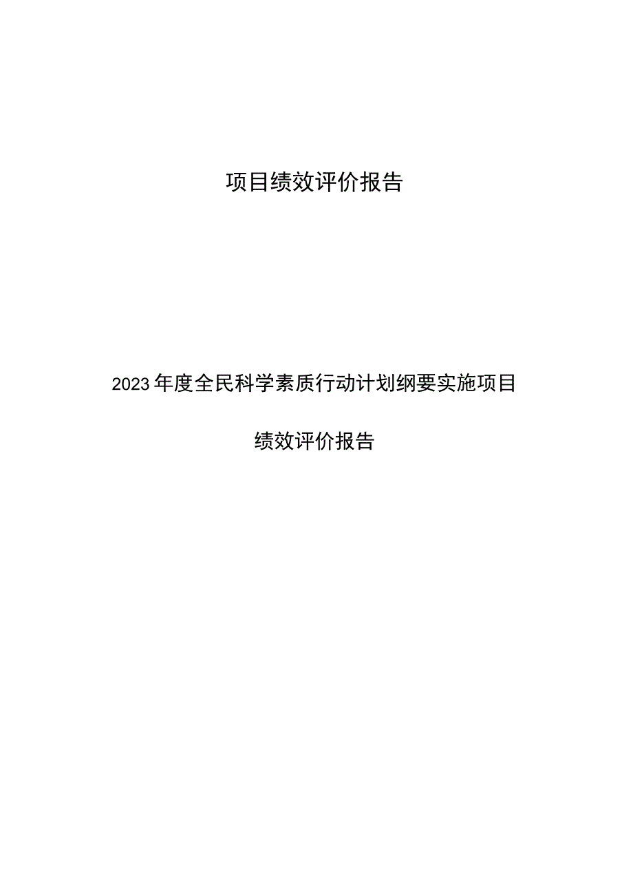 项目绩效评价报告.docx_第1页