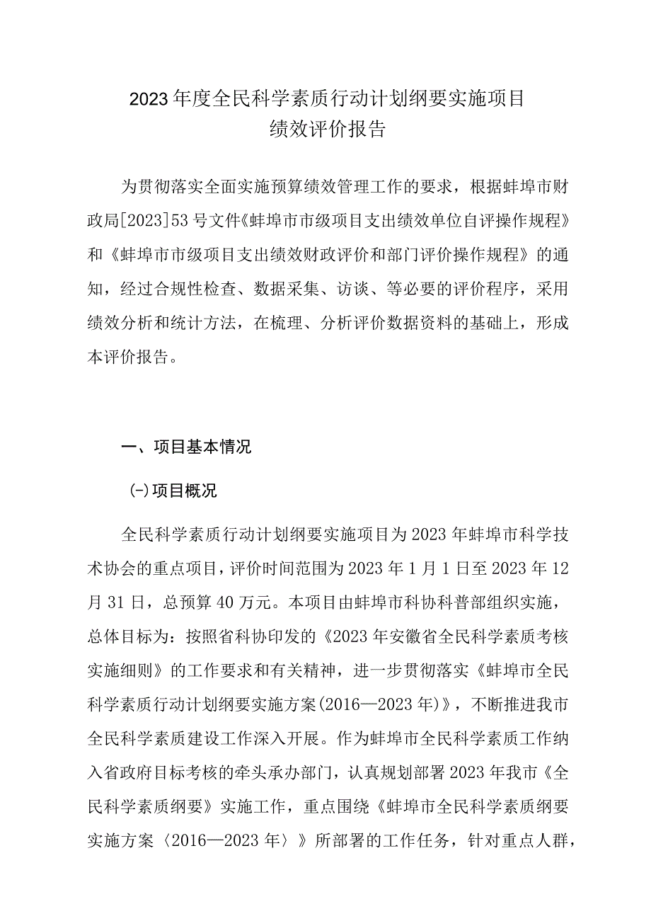 项目绩效评价报告.docx_第3页