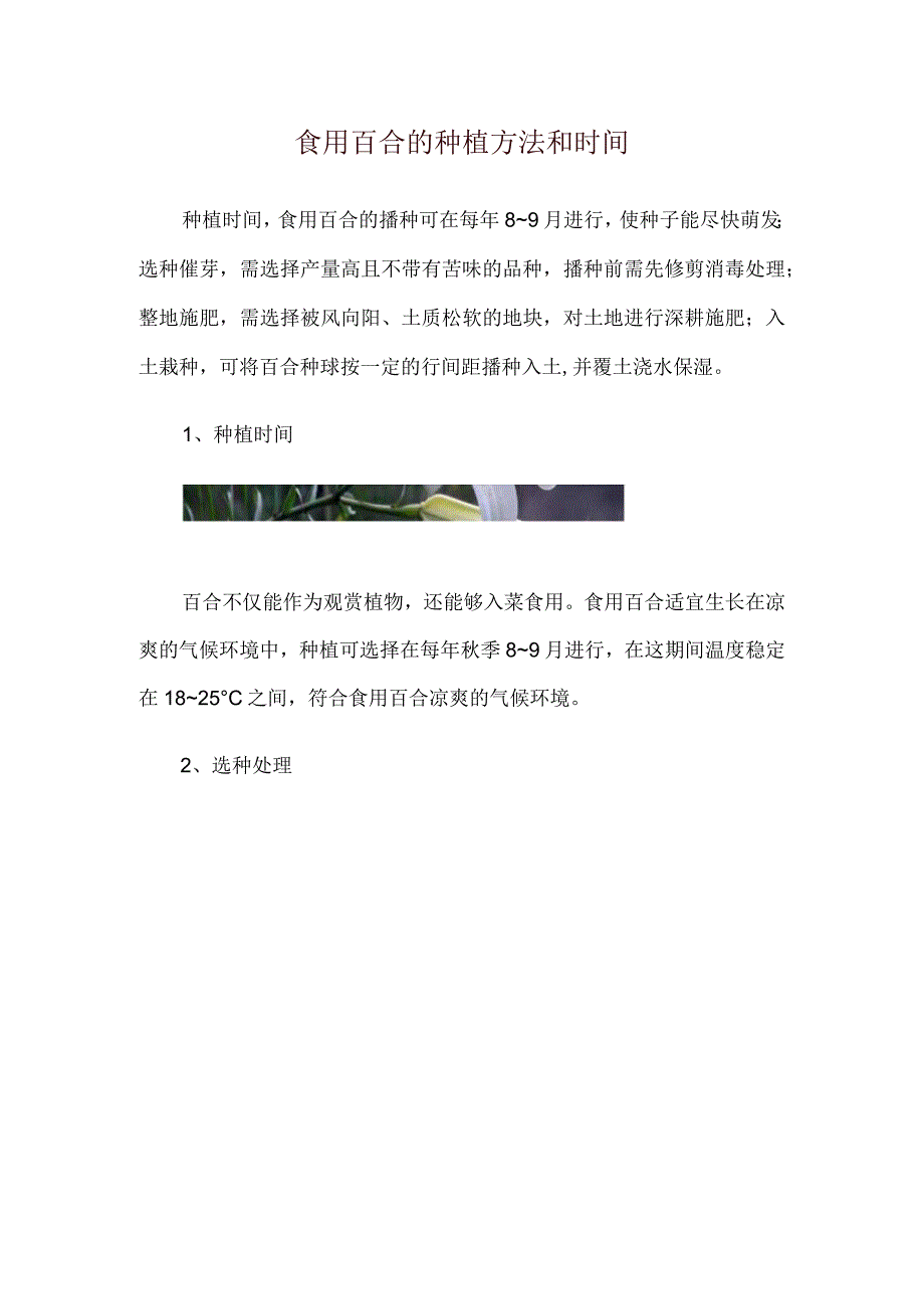 食用百合的种植方法和时间.docx_第1页