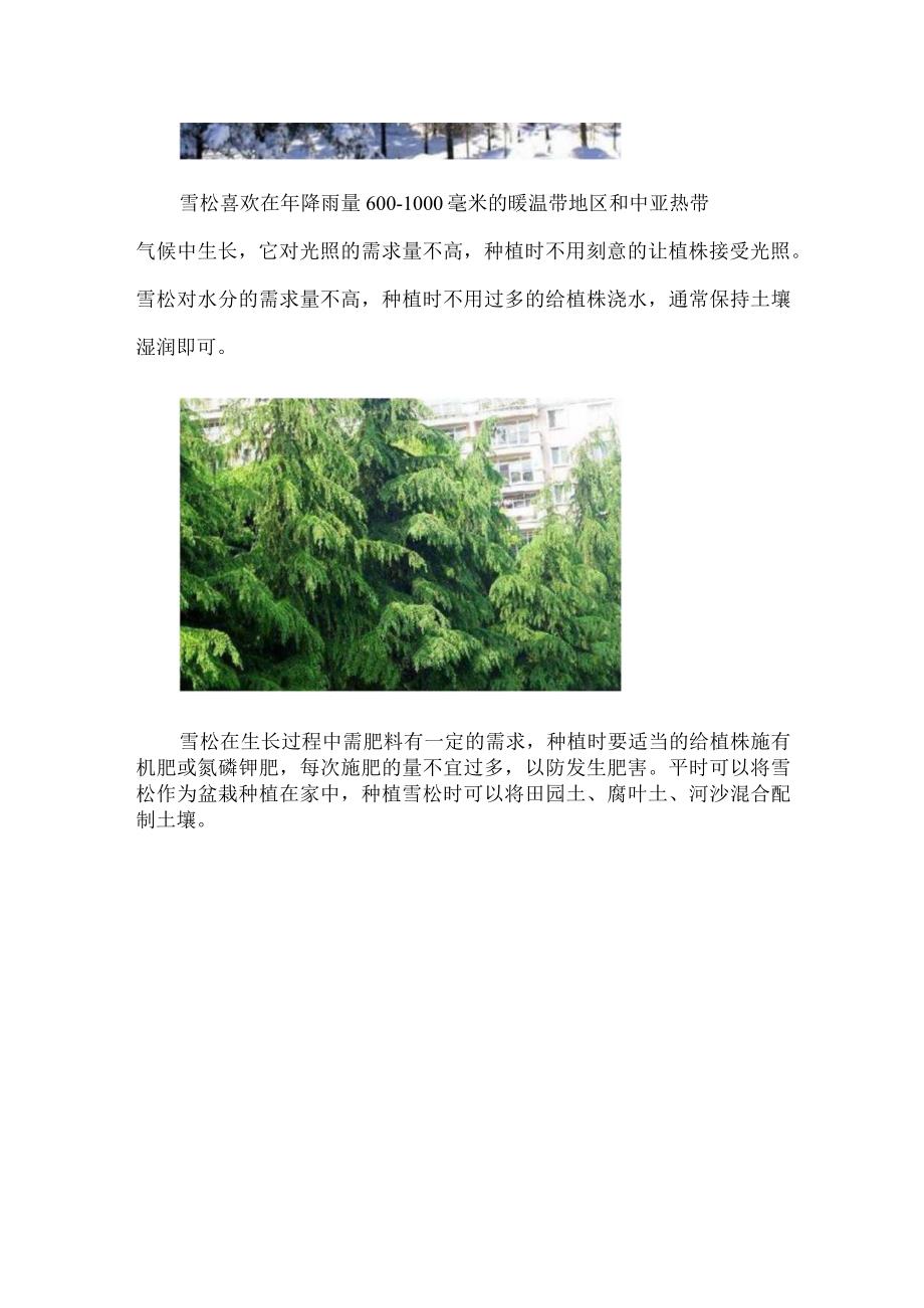 雪松是几级保护植物.docx_第2页