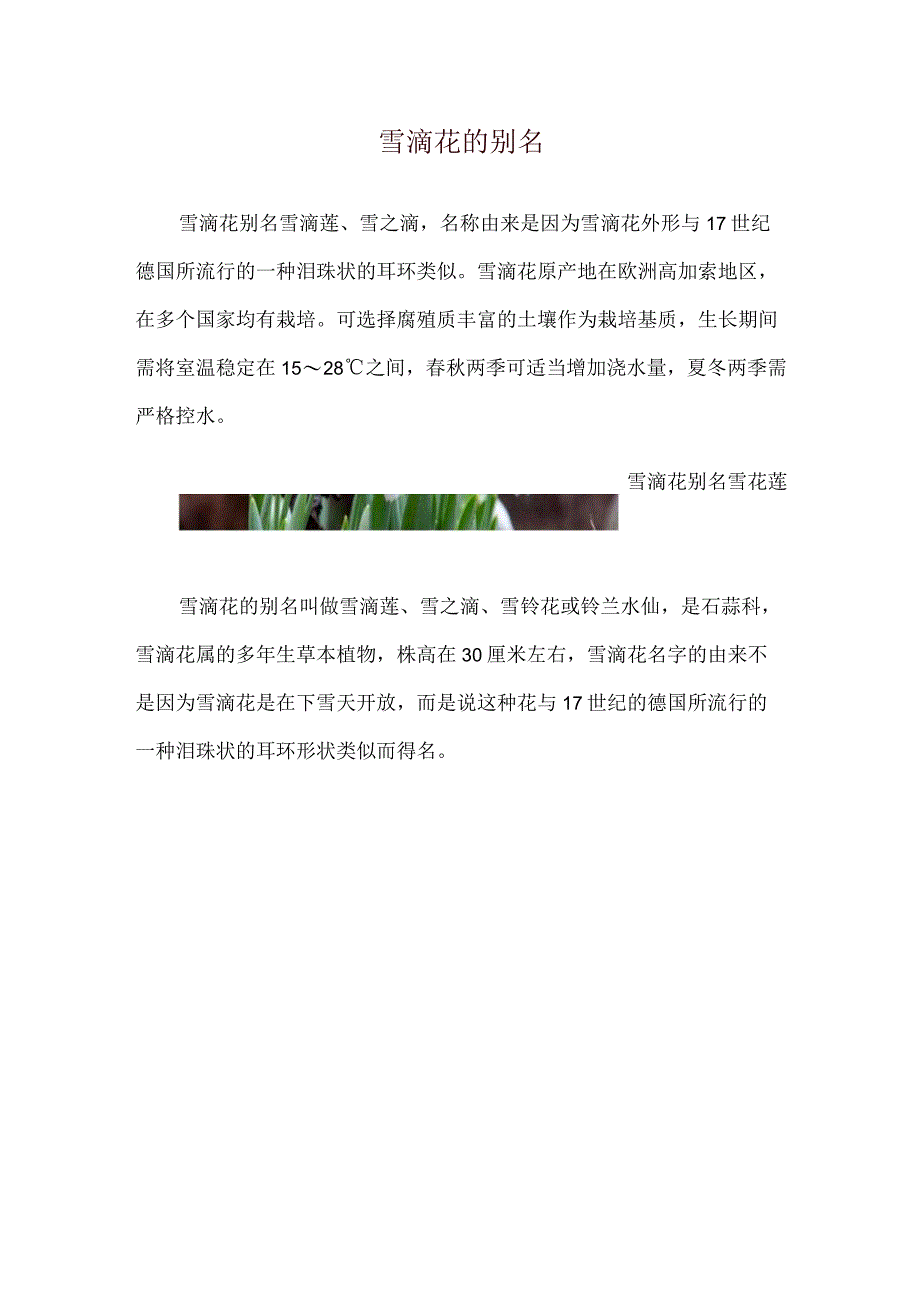 雪滴花的别名.docx_第1页