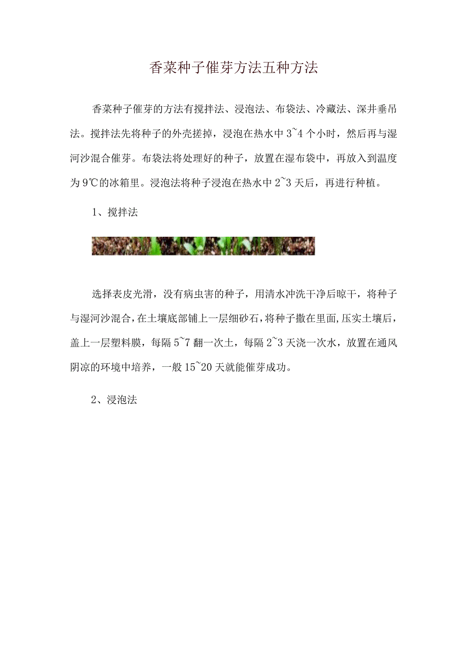 香菜种子催芽方法五种方法.docx_第1页