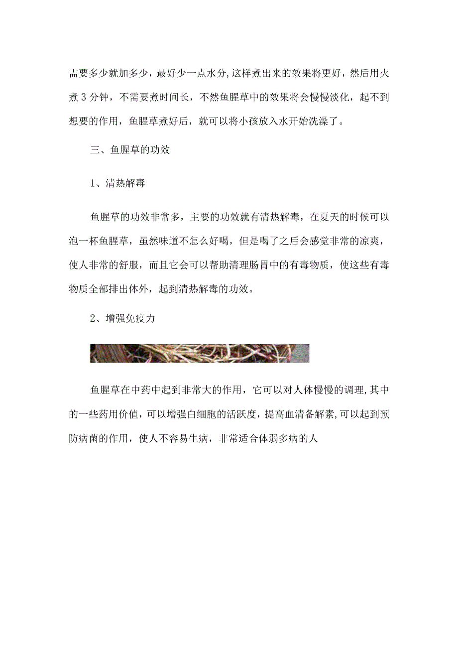 鱼腥草煮水能给小孩洗澡吗能洗澡还能消炎杀菌.docx_第3页