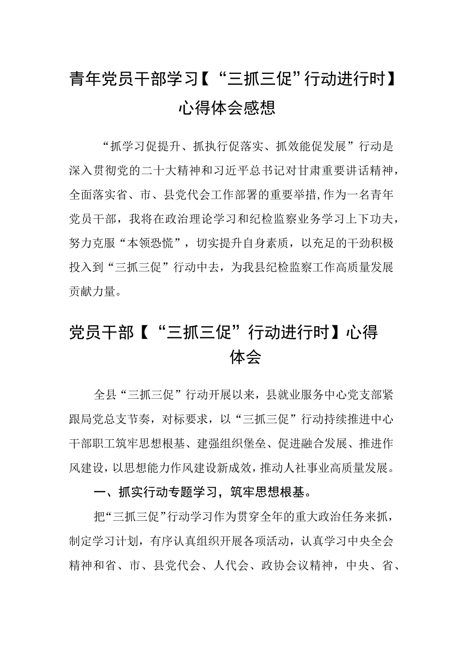 青年党员干部学习三抓三促行动进行时心得体会感想4篇.docx_第1页