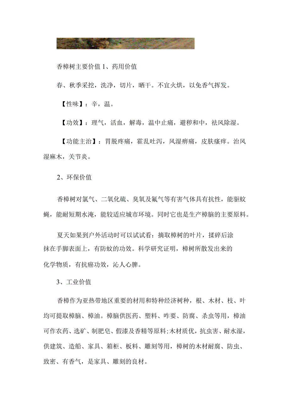 香樟树的价格：苗木的胸径越大,代表树龄越大价格也越高.docx_第2页