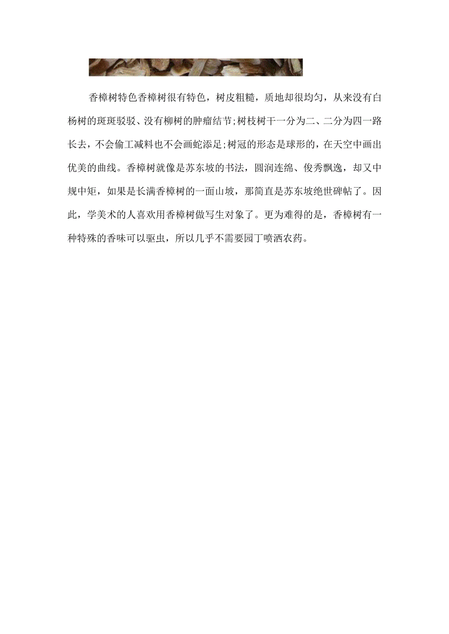 香樟树的价格：苗木的胸径越大,代表树龄越大价格也越高.docx_第3页