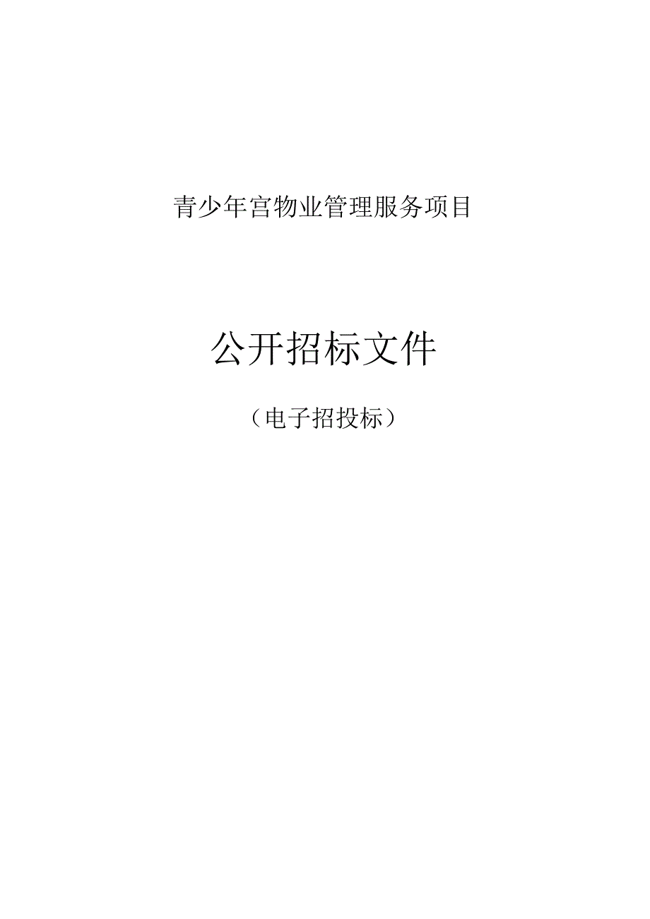 青少年宫物业管理服务项目招标文件.docx_第1页