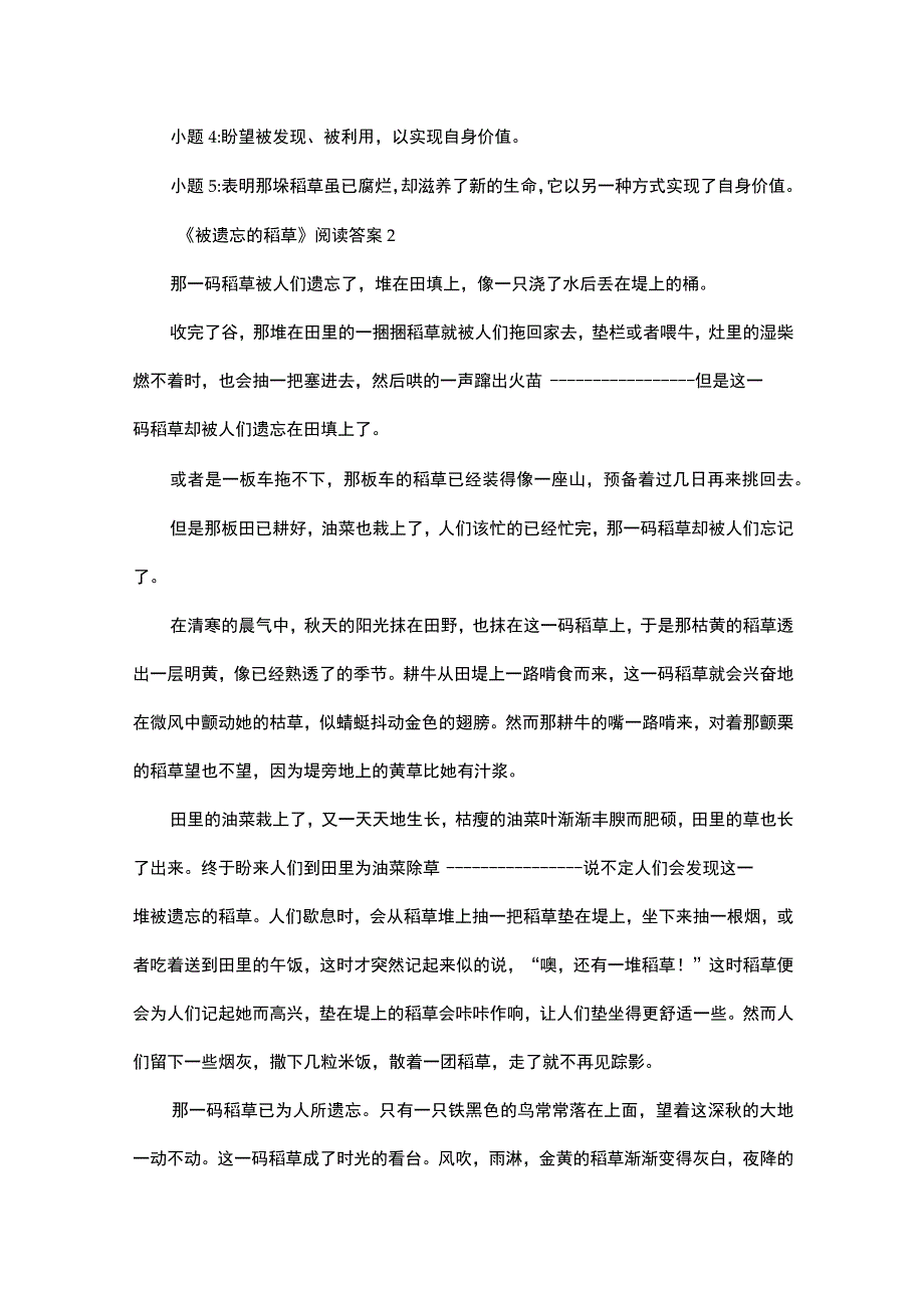 被遗忘的稻草阅读答案.docx_第3页