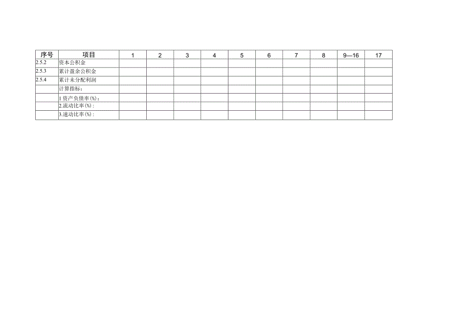 资金项目资产负债表模板.docx_第2页