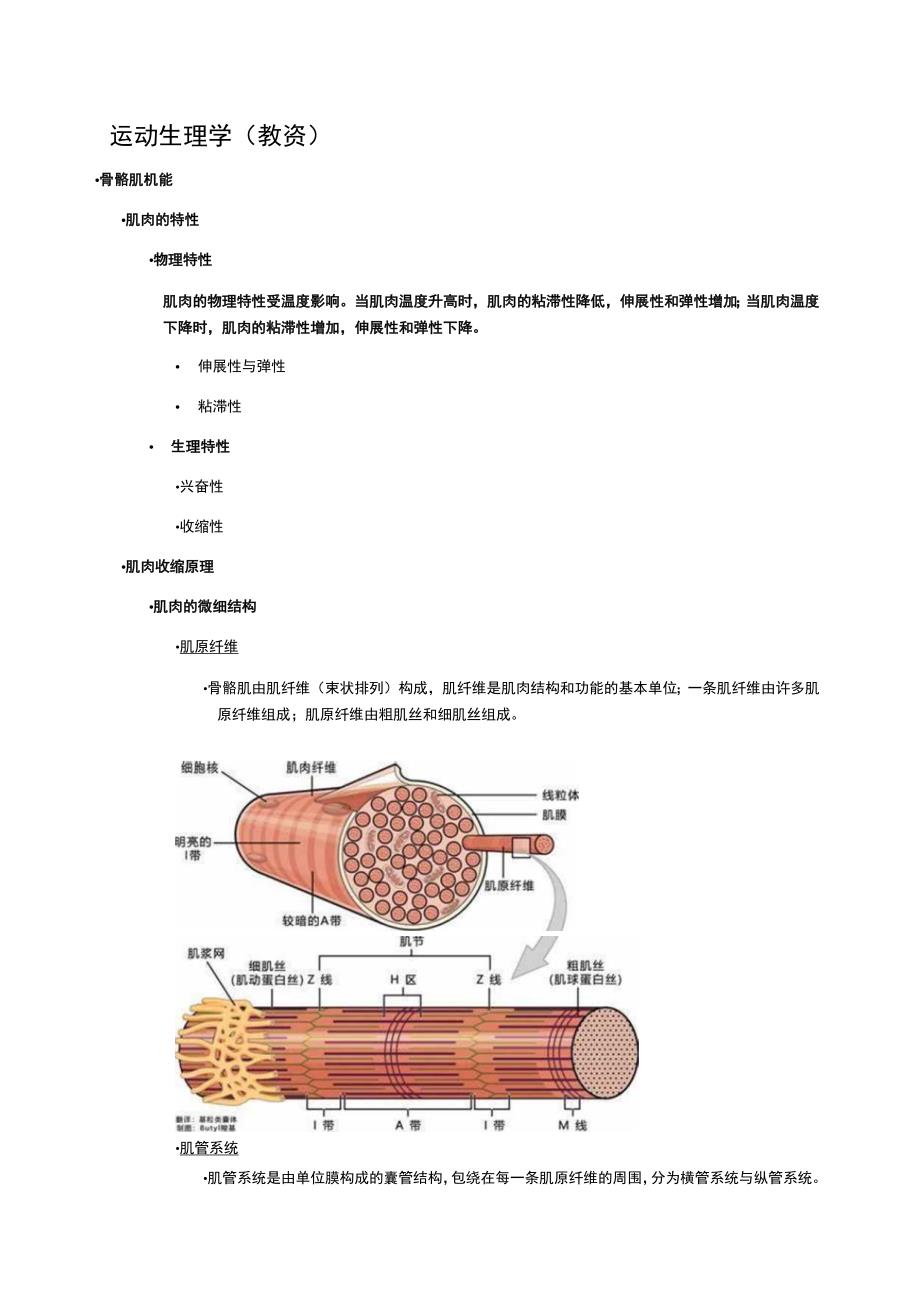 运动生理学体育教师资格证重点.docx_第1页