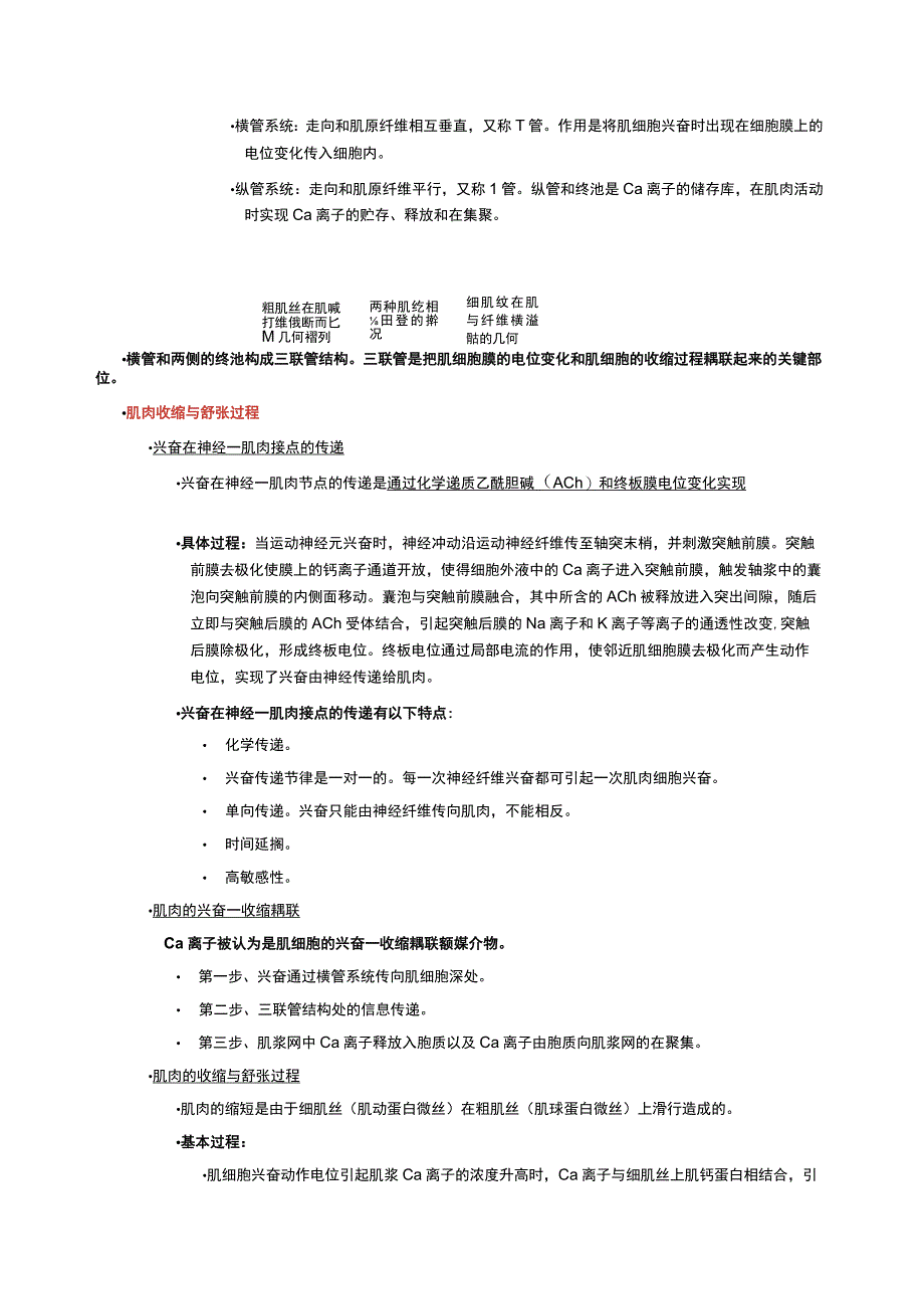 运动生理学体育教师资格证重点.docx_第2页