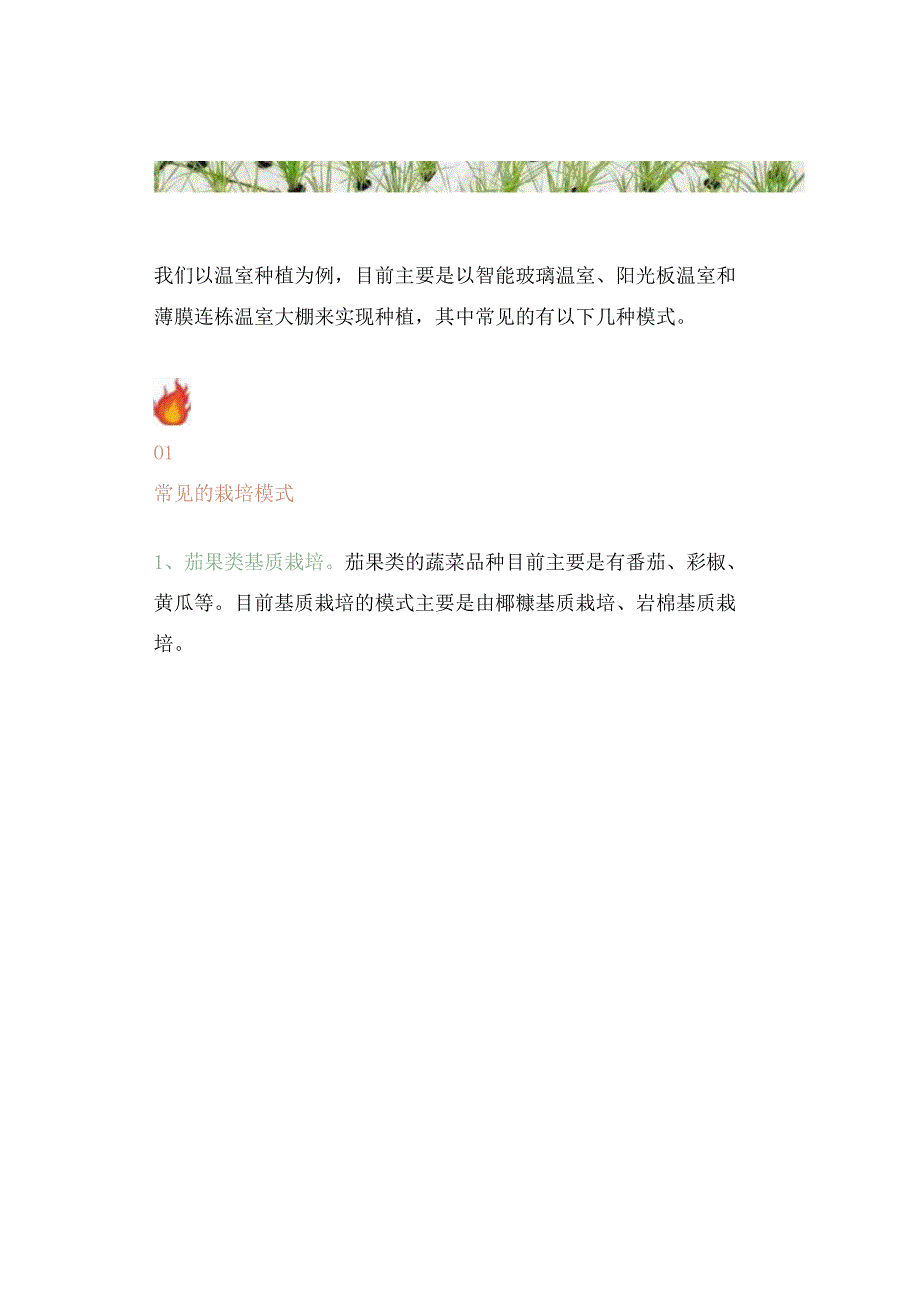 设施农业做现代设施农业常见的模式有哪些？现代设施农业如何发展建造？.docx_第2页