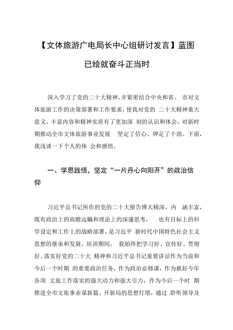 文体旅游广电局长中心组研讨发言蓝图已绘就 奋斗正当时.docx_第1页